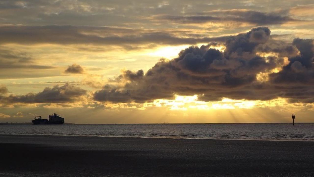 Bild 51 Bild 51